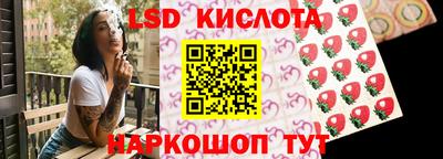 молекула духа Будённовск