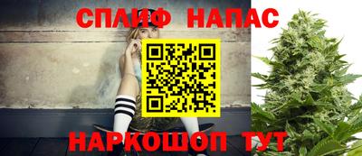 молекула духа Будённовск