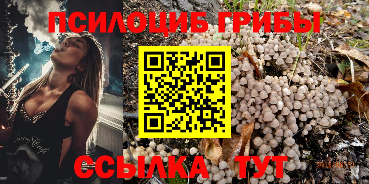 Псилоцибиновые грибы GOLDEN TEACHER  Вход с VPN  Валуйки 
